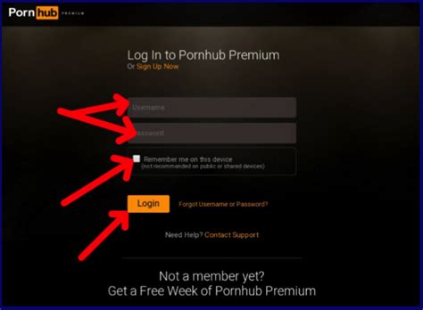 pornhubpremium login|Log In And Access Premium Porn Videos .